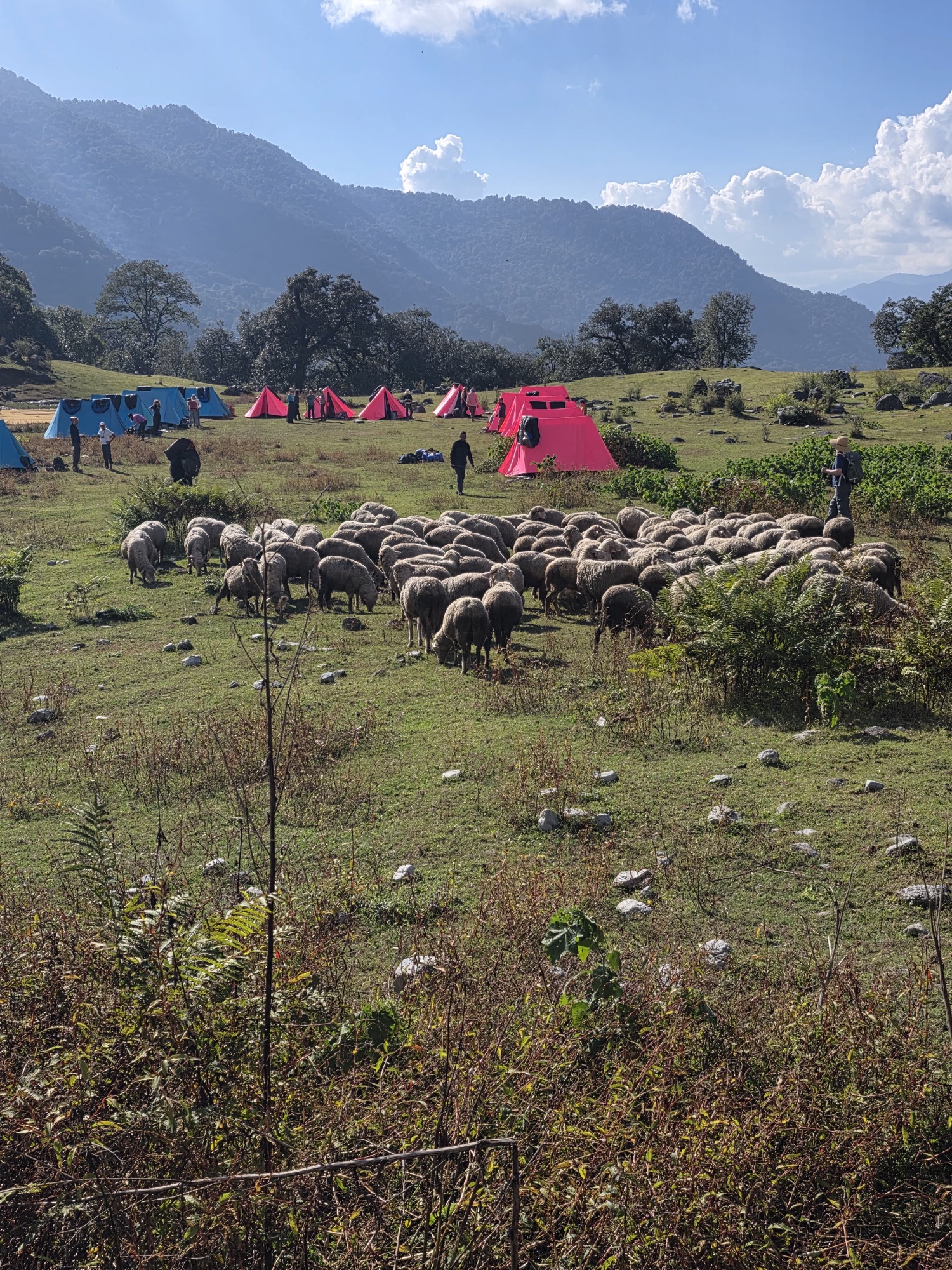 The rugged high-altitude terrain near Kedarnath